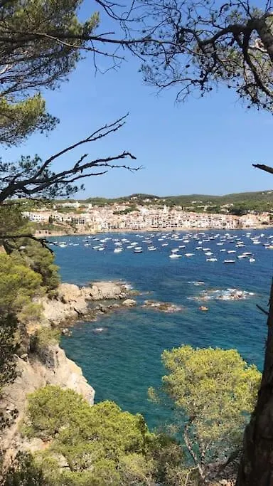 The Golden Oak In Calella Centre - 100M From Beach Palafrugell Apartment